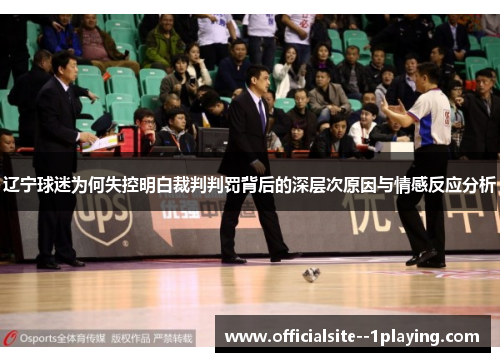 辽宁球迷为何失控明白裁判判罚背后的深层次原因与情感反应分析