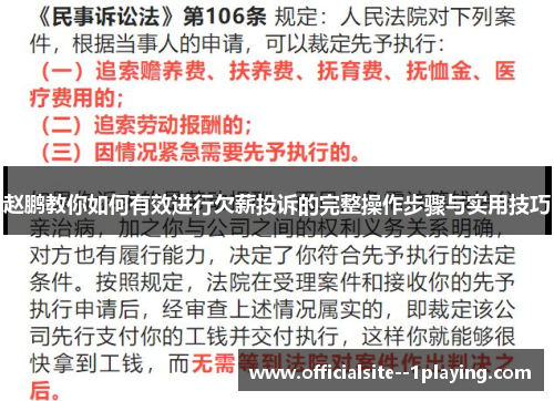赵鹏教你如何有效进行欠薪投诉的完整操作步骤与实用技巧
