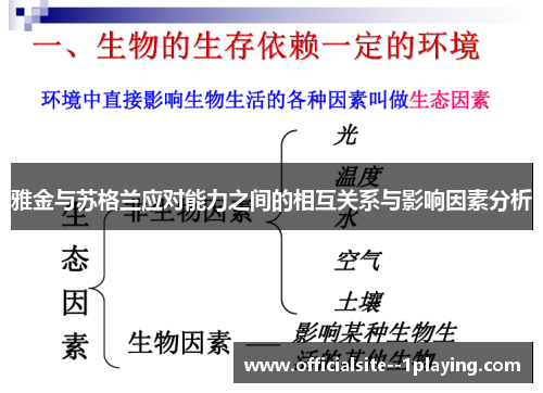 雅金与苏格兰应对能力之间的相互关系与影响因素分析
