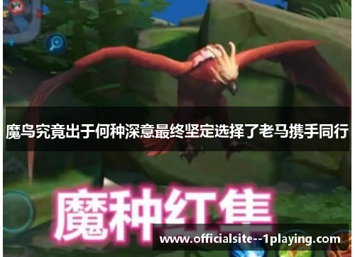 魔鸟究竟出于何种深意最终坚定选择了老马携手同行